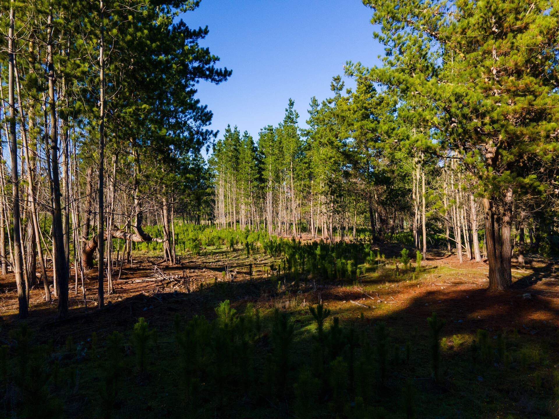Sitio con vista al entorno de Algarrobo