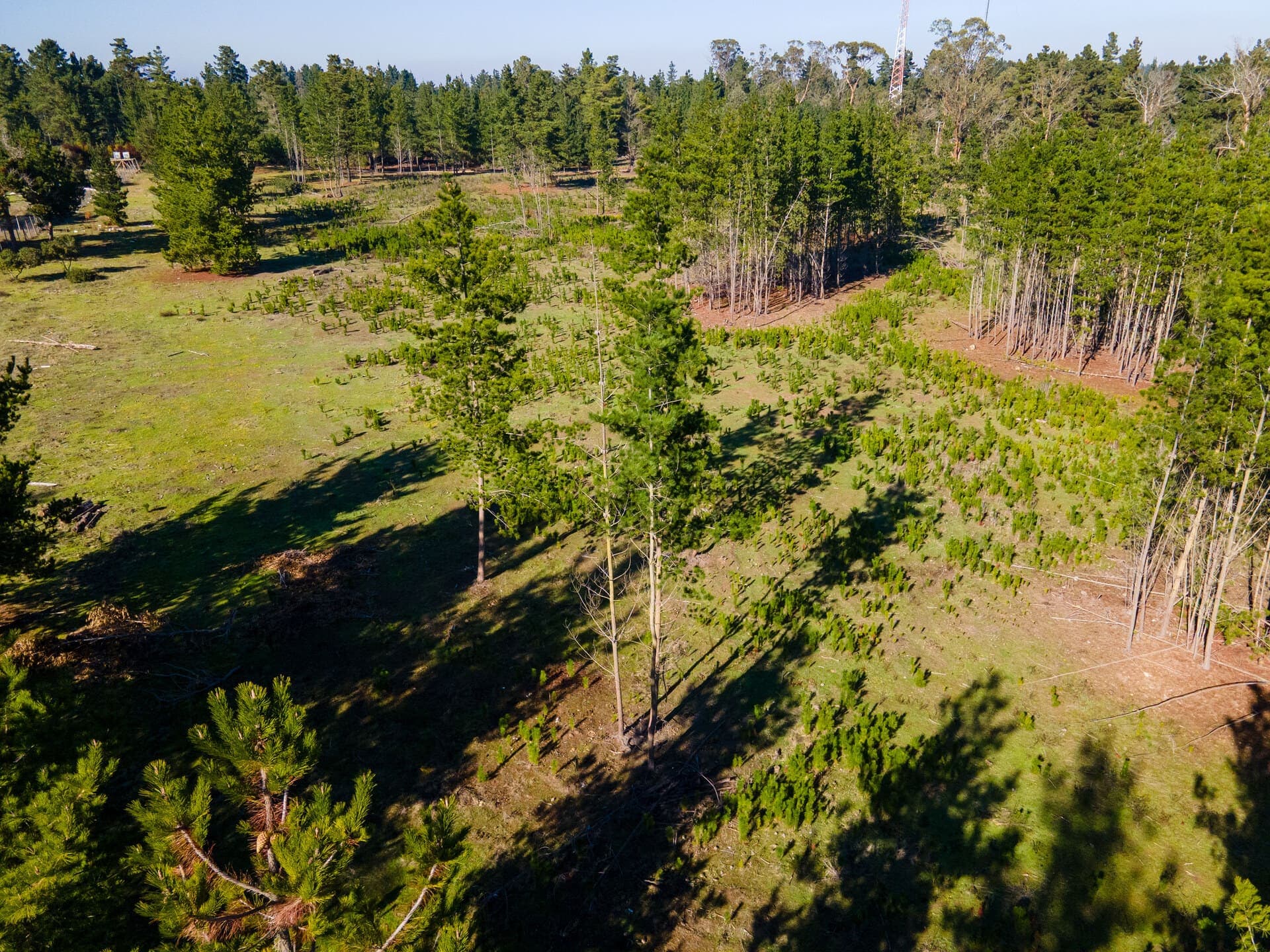 Infraestructura y áreas comunes