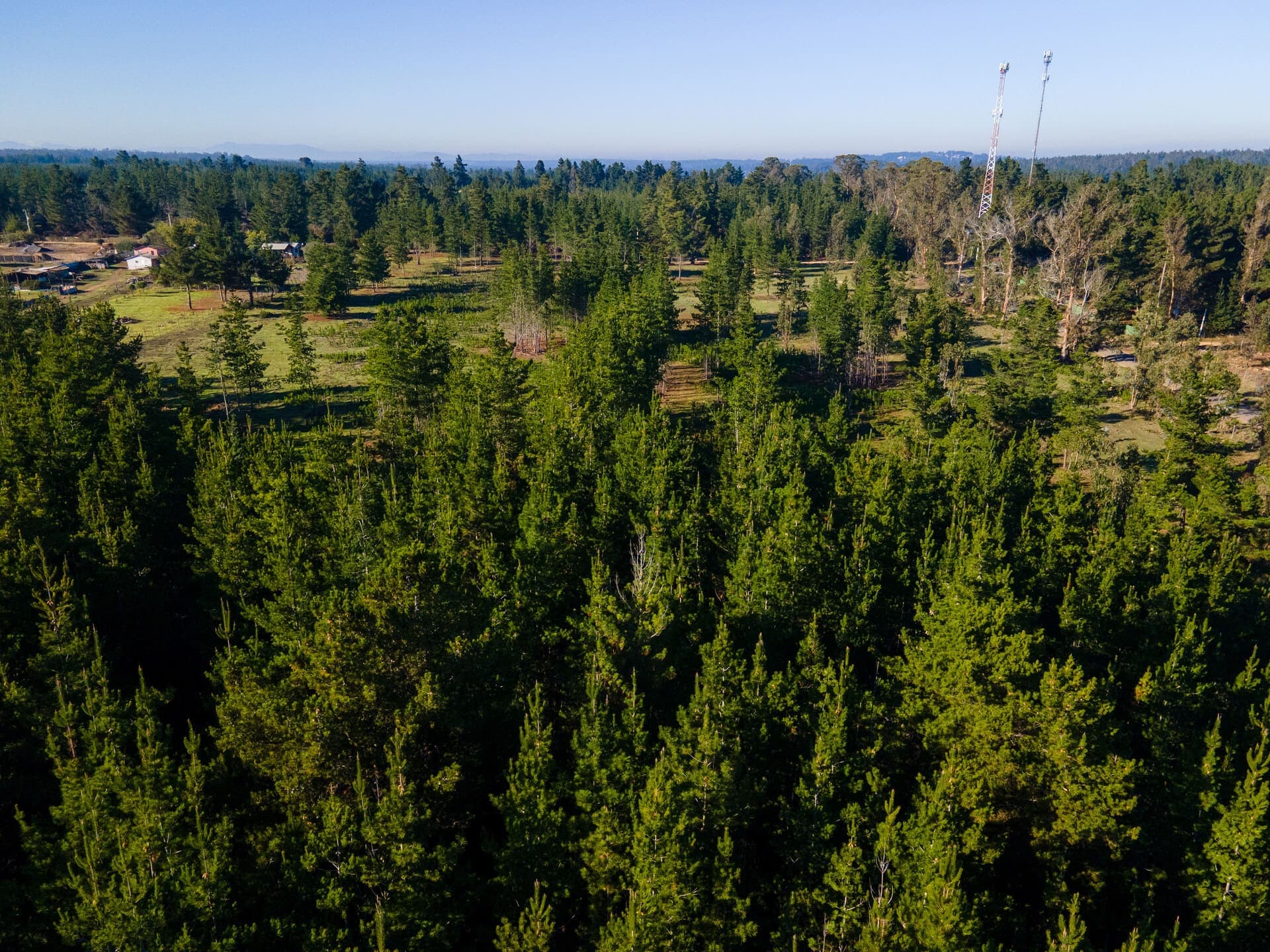 Naturaleza y tranquilidad en Algarrobo